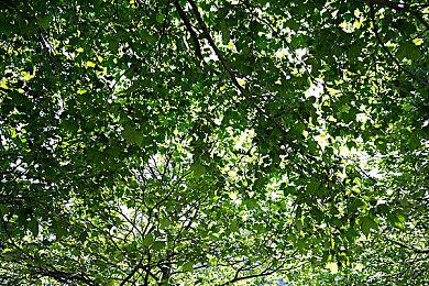 《最后的生还者：重制版》PC版为外包 质量令人担忧